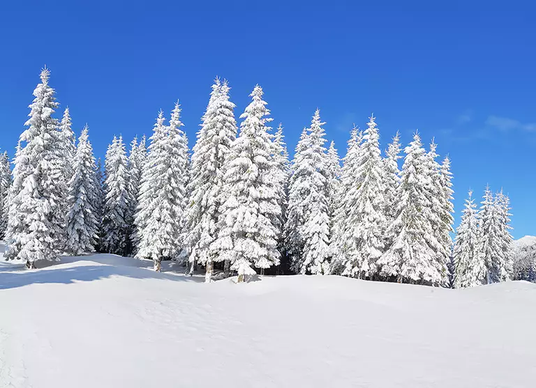 Taittovirheleikkauksessa olet asiakas etkä potilas